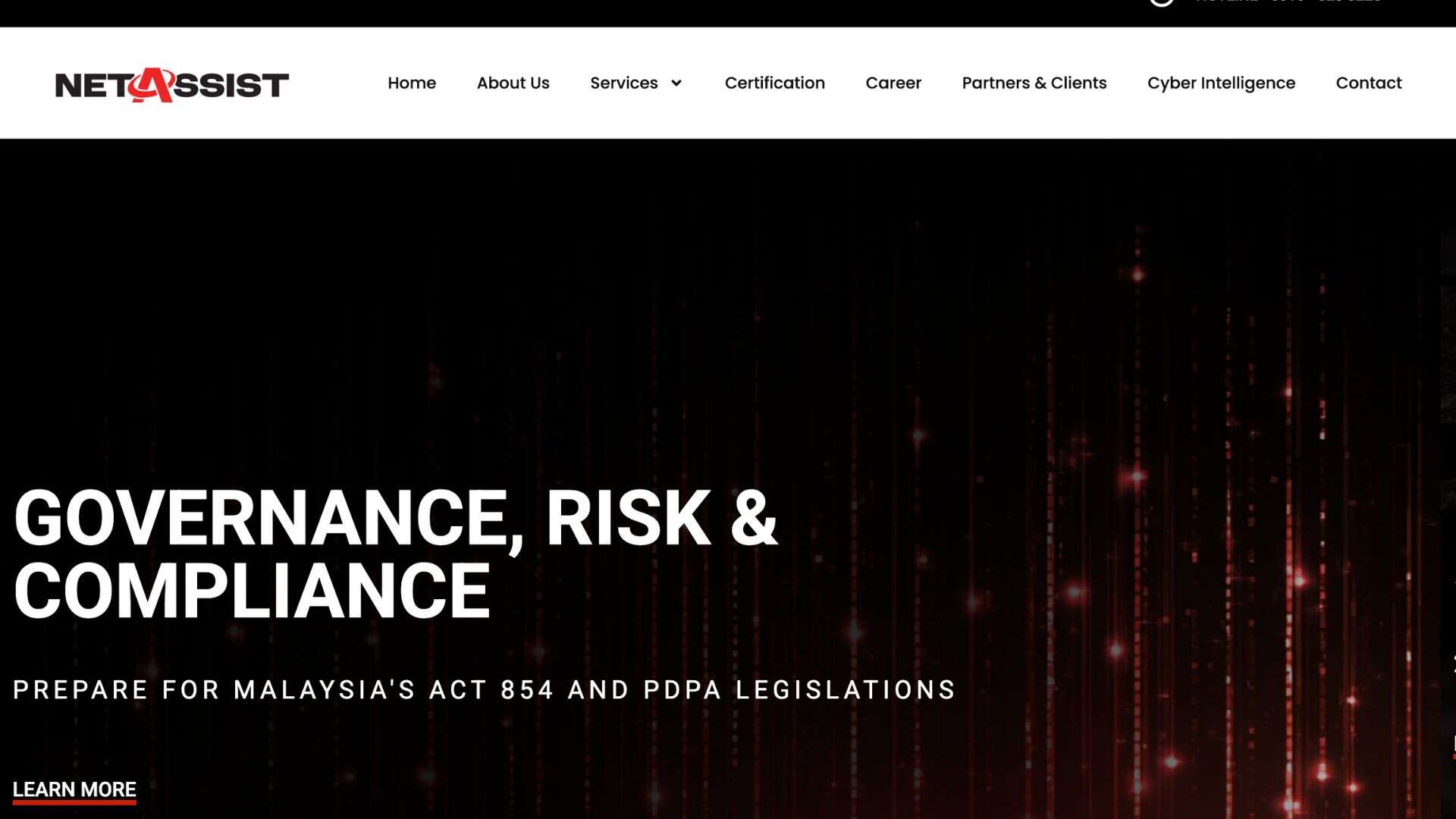 Netassist website design showcasing homepage on desktop view.